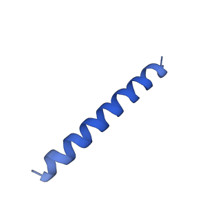 21817_6wl8_mA_v1-2
Cryo-EM of Form 2 peptide filament