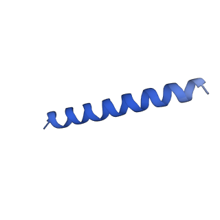 21817_6wl8_nA_v1-2
Cryo-EM of Form 2 peptide filament