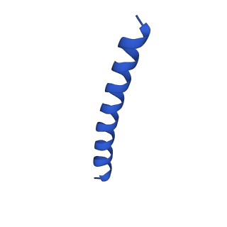 21817_6wl8_n_v1-2
Cryo-EM of Form 2 peptide filament