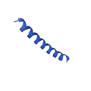 21817_6wl8_o_v1-1
Cryo-EM of Form 2 peptide filament