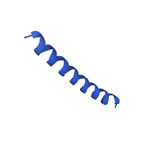 21817_6wl8_o_v1-2
Cryo-EM of Form 2 peptide filament