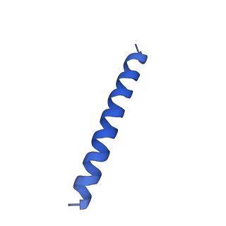 21817_6wl8_pA_v1-2
Cryo-EM of Form 2 peptide filament