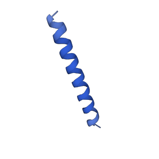 21817_6wl8_qA_v1-1
Cryo-EM of Form 2 peptide filament