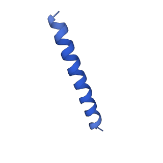 21817_6wl8_qA_v1-2
Cryo-EM of Form 2 peptide filament