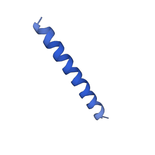 21817_6wl8_rA_v1-2
Cryo-EM of Form 2 peptide filament