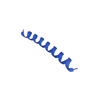 21817_6wl8_r_v1-1
Cryo-EM of Form 2 peptide filament