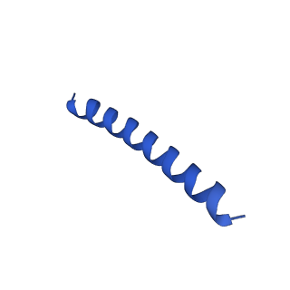 21817_6wl8_r_v1-2
Cryo-EM of Form 2 peptide filament