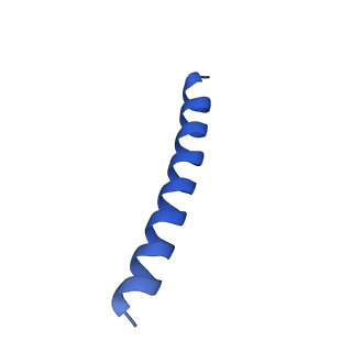 21817_6wl8_s_v1-2
Cryo-EM of Form 2 peptide filament