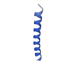 21817_6wl8_t_v1-1
Cryo-EM of Form 2 peptide filament
