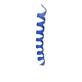 21817_6wl8_t_v1-2
Cryo-EM of Form 2 peptide filament