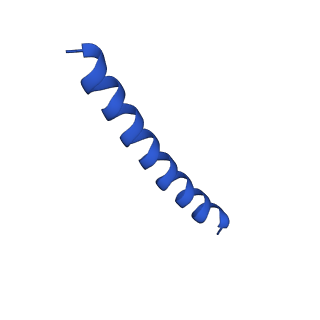 21817_6wl8_u_v1-1
Cryo-EM of Form 2 peptide filament