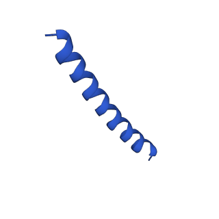 21817_6wl8_u_v1-2
Cryo-EM of Form 2 peptide filament