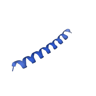 21817_6wl8_v_v1-2
Cryo-EM of Form 2 peptide filament