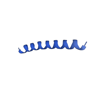 21817_6wl8_w_v1-2
Cryo-EM of Form 2 peptide filament