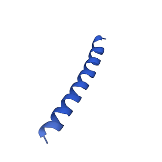 21817_6wl8_y_v1-1
Cryo-EM of Form 2 peptide filament