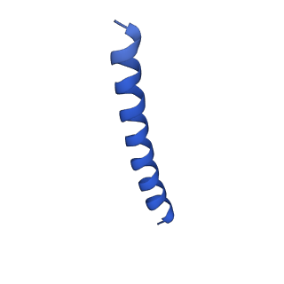 21817_6wl8_z_v1-2
Cryo-EM of Form 2 peptide filament