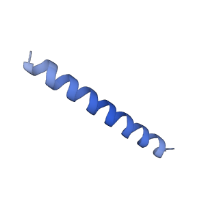 21818_6wl9_1_v1-1
Cryo-EM of Form 2 like peptide filament, Form2a