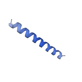 21818_6wl9_1_v1-2
Cryo-EM of Form 2 like peptide filament, Form2a