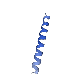 21818_6wl9_2_v1-1
Cryo-EM of Form 2 like peptide filament, Form2a