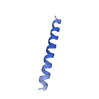 21818_6wl9_2_v1-2
Cryo-EM of Form 2 like peptide filament, Form2a