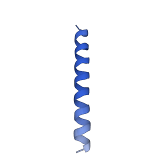 21818_6wl9_3_v1-1
Cryo-EM of Form 2 like peptide filament, Form2a