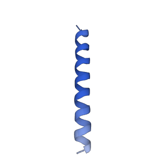 21818_6wl9_3_v1-2
Cryo-EM of Form 2 like peptide filament, Form2a