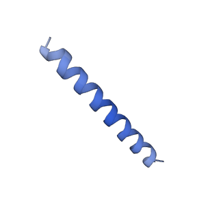 21818_6wl9_4_v1-1
Cryo-EM of Form 2 like peptide filament, Form2a
