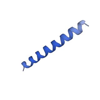 21818_6wl9_5_v1-1
Cryo-EM of Form 2 like peptide filament, Form2a