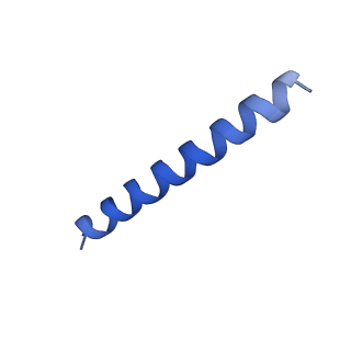 21818_6wl9_5_v1-2
Cryo-EM of Form 2 like peptide filament, Form2a