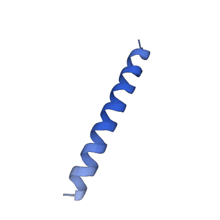21818_6wl9_8_v1-1
Cryo-EM of Form 2 like peptide filament, Form2a