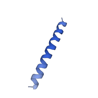 21818_6wl9_8_v1-2
Cryo-EM of Form 2 like peptide filament, Form2a