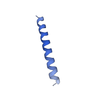 21818_6wl9_9_v1-2
Cryo-EM of Form 2 like peptide filament, Form2a