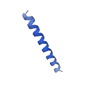 21818_6wl9_AA_v1-1
Cryo-EM of Form 2 like peptide filament, Form2a