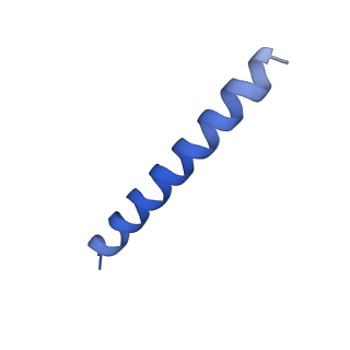 21818_6wl9_BA_v1-1
Cryo-EM of Form 2 like peptide filament, Form2a