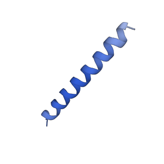 21818_6wl9_BA_v1-2
Cryo-EM of Form 2 like peptide filament, Form2a