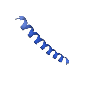 21818_6wl9_B_v1-2
Cryo-EM of Form 2 like peptide filament, Form2a