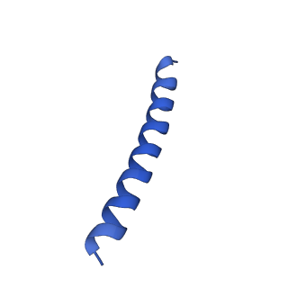 21818_6wl9_C_v1-2
Cryo-EM of Form 2 like peptide filament, Form2a