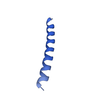 21818_6wl9_D_v1-2
Cryo-EM of Form 2 like peptide filament, Form2a