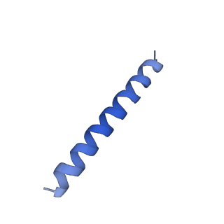 21818_6wl9_EA_v1-1
Cryo-EM of Form 2 like peptide filament, Form2a