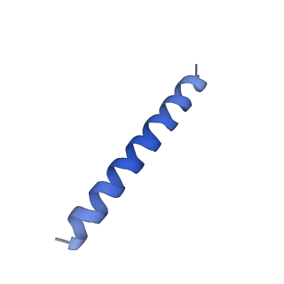 21818_6wl9_EA_v1-2
Cryo-EM of Form 2 like peptide filament, Form2a