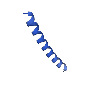 21818_6wl9_E_v1-1
Cryo-EM of Form 2 like peptide filament, Form2a