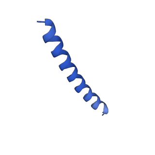 21818_6wl9_E_v1-2
Cryo-EM of Form 2 like peptide filament, Form2a