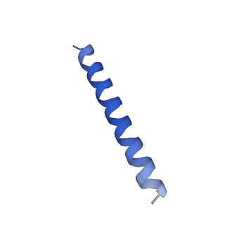 21818_6wl9_FA_v1-2
Cryo-EM of Form 2 like peptide filament, Form2a