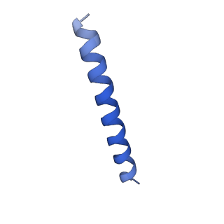21818_6wl9_GA_v1-1
Cryo-EM of Form 2 like peptide filament, Form2a