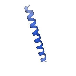 21818_6wl9_GA_v1-2
Cryo-EM of Form 2 like peptide filament, Form2a