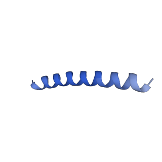 21818_6wl9_G_v1-2
Cryo-EM of Form 2 like peptide filament, Form2a