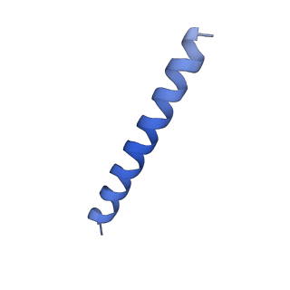 21818_6wl9_HA_v1-1
Cryo-EM of Form 2 like peptide filament, Form2a