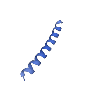 21818_6wl9_I_v1-1
Cryo-EM of Form 2 like peptide filament, Form2a
