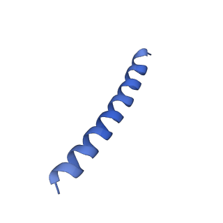 21818_6wl9_I_v1-2
Cryo-EM of Form 2 like peptide filament, Form2a