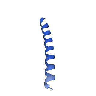 21818_6wl9_J_v1-2
Cryo-EM of Form 2 like peptide filament, Form2a